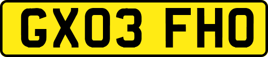 GX03FHO