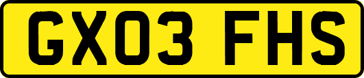 GX03FHS