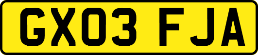 GX03FJA