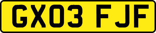 GX03FJF