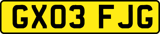 GX03FJG