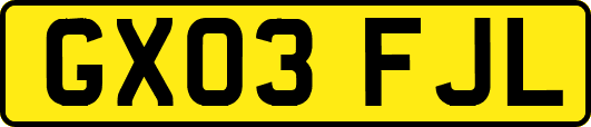 GX03FJL