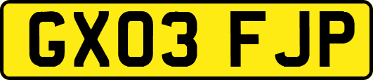 GX03FJP