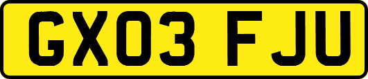 GX03FJU