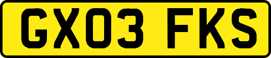 GX03FKS