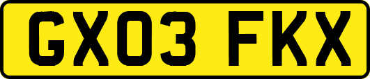 GX03FKX