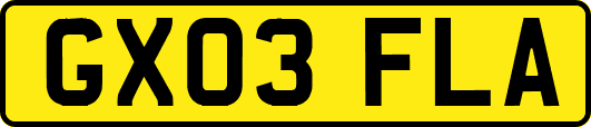 GX03FLA
