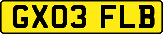 GX03FLB