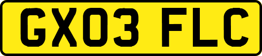 GX03FLC