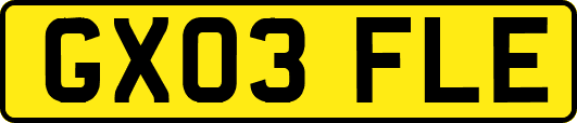 GX03FLE