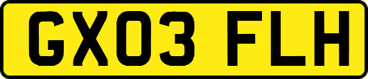 GX03FLH