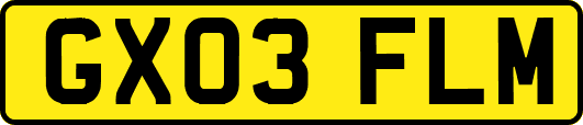 GX03FLM