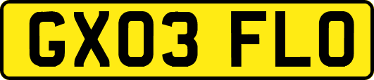 GX03FLO