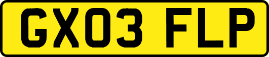 GX03FLP