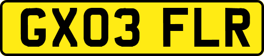 GX03FLR