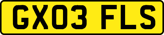 GX03FLS
