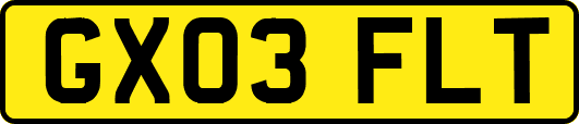 GX03FLT