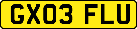 GX03FLU