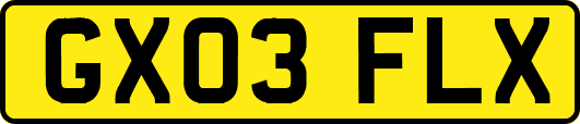 GX03FLX
