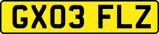 GX03FLZ
