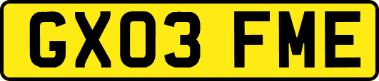 GX03FME