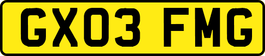 GX03FMG