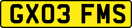 GX03FMS