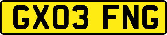 GX03FNG