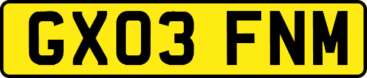 GX03FNM