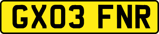 GX03FNR