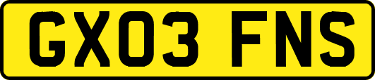 GX03FNS