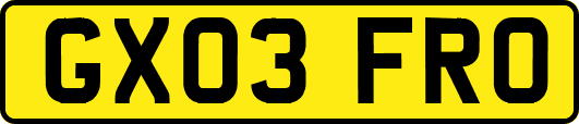 GX03FRO