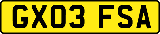 GX03FSA