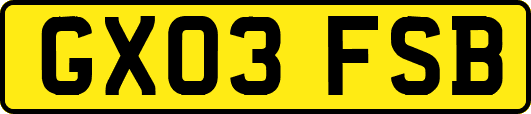 GX03FSB