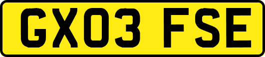 GX03FSE