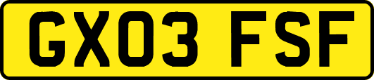 GX03FSF