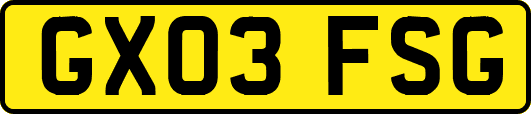 GX03FSG