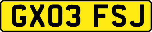 GX03FSJ