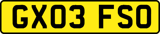 GX03FSO