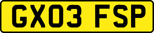 GX03FSP