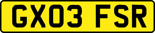 GX03FSR