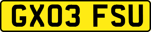GX03FSU