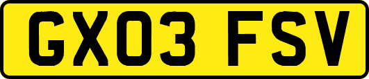 GX03FSV