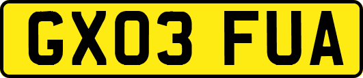 GX03FUA