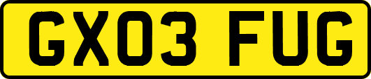 GX03FUG