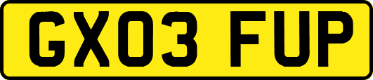 GX03FUP