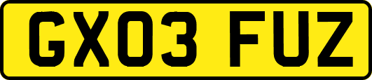 GX03FUZ