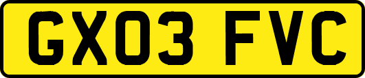 GX03FVC