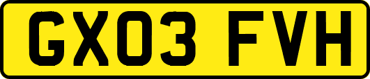 GX03FVH