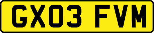 GX03FVM